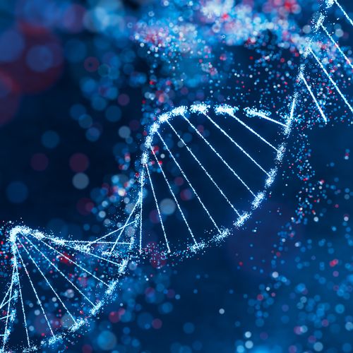 Epigenetik: Was ist das?