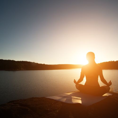 Regenerative Therapien entdecken